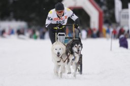 Lenzerheide 2013